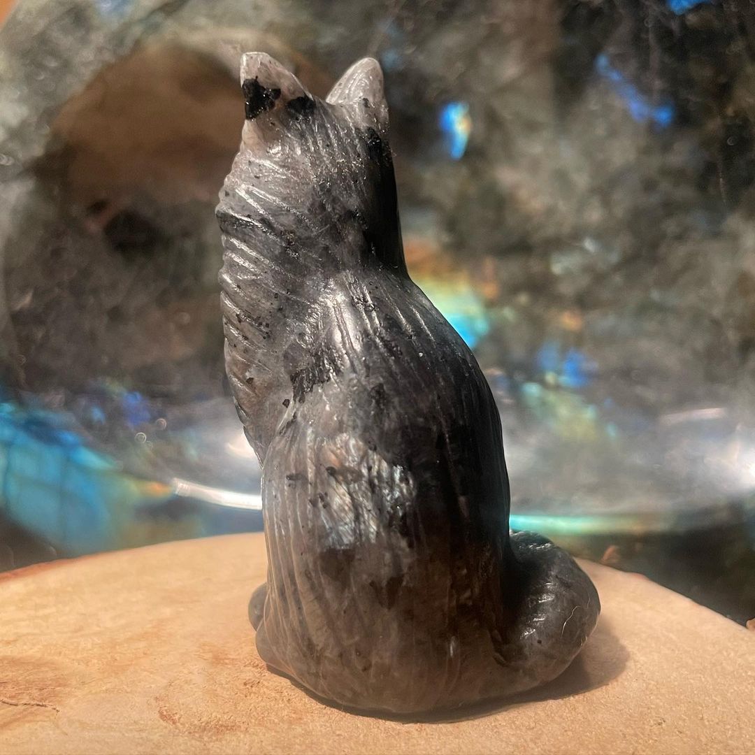 Fearless Feline - Afbeelding 3