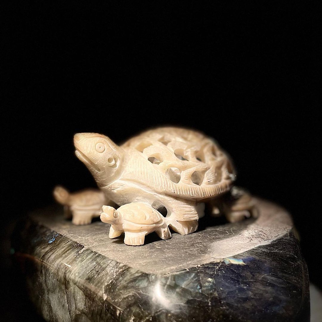 Gaia Terrapin - Afbeelding 3