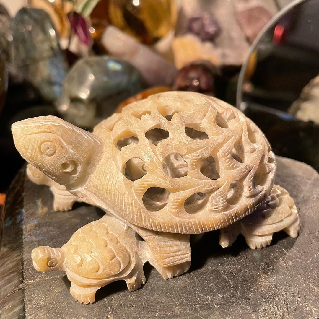 Gaia Terrapin