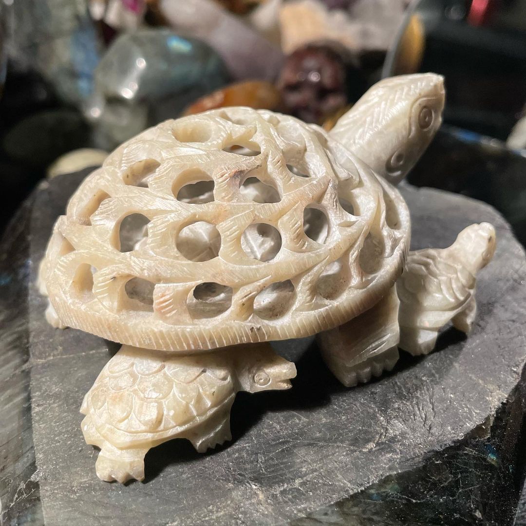 Gaia Terrapin - Afbeelding 2