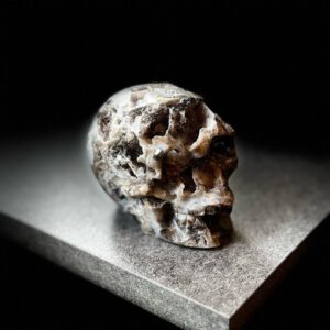Vanitas Humanitas