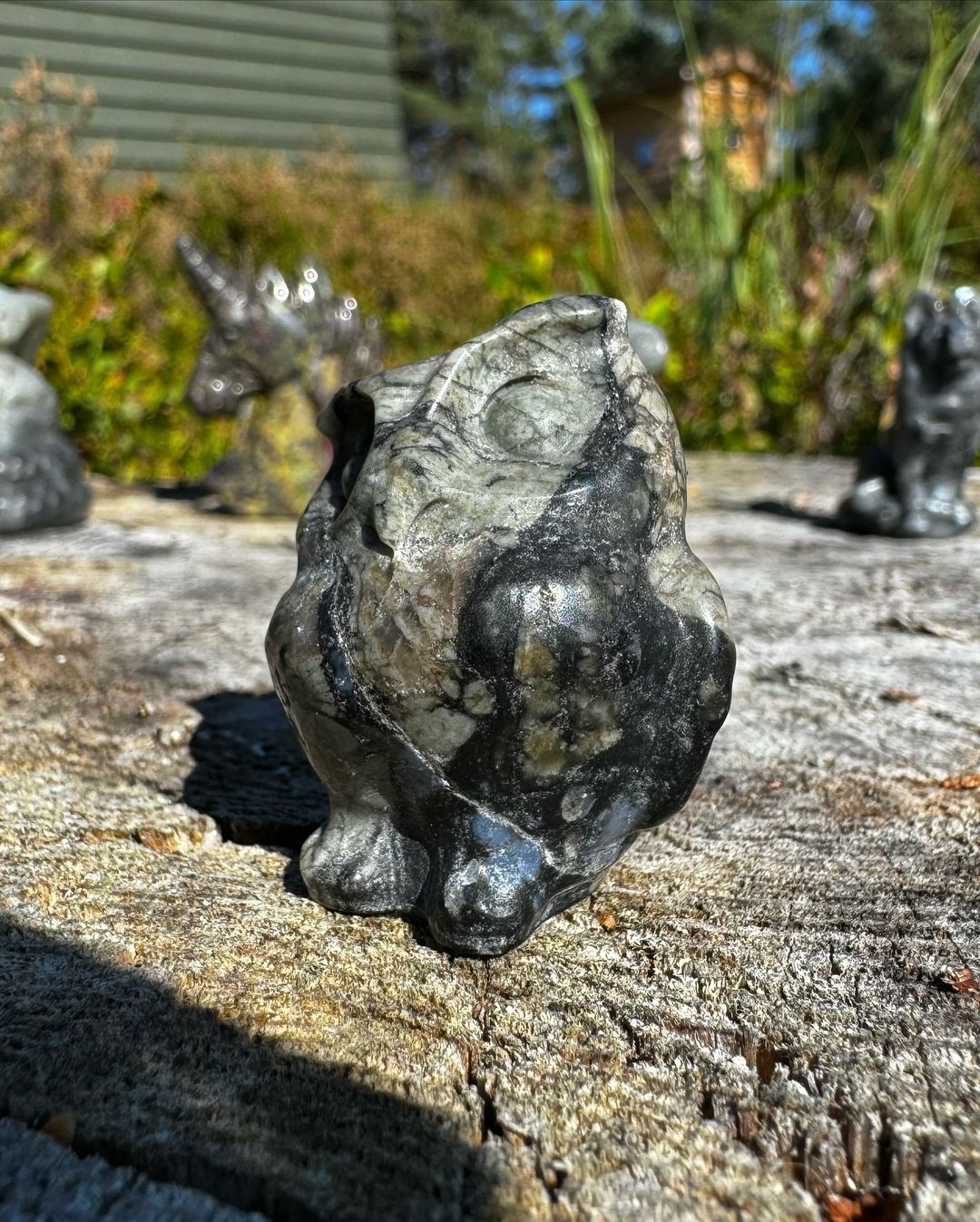 Bird of Night - Afbeelding 2