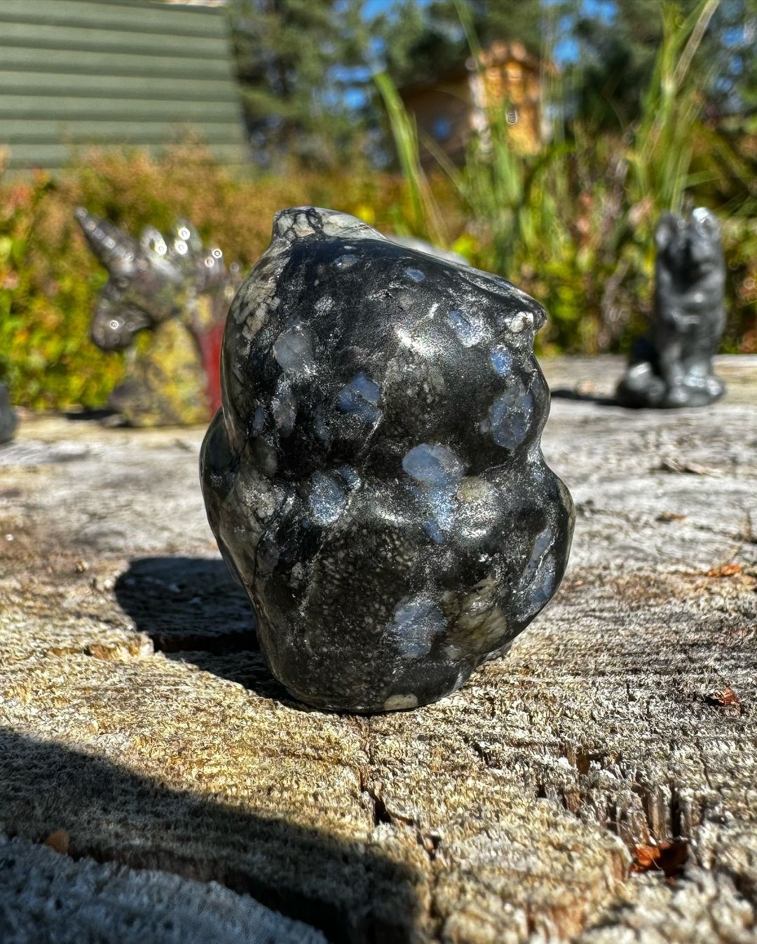 Bird of Night - Afbeelding 4