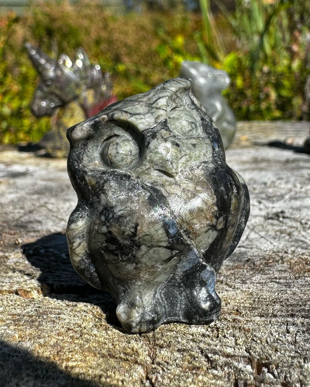 Bird of Night - Afbeelding 3