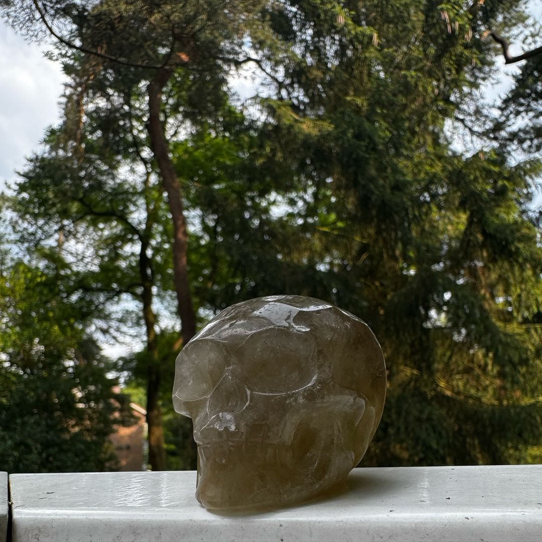 Smoky Skull - Afbeelding 2