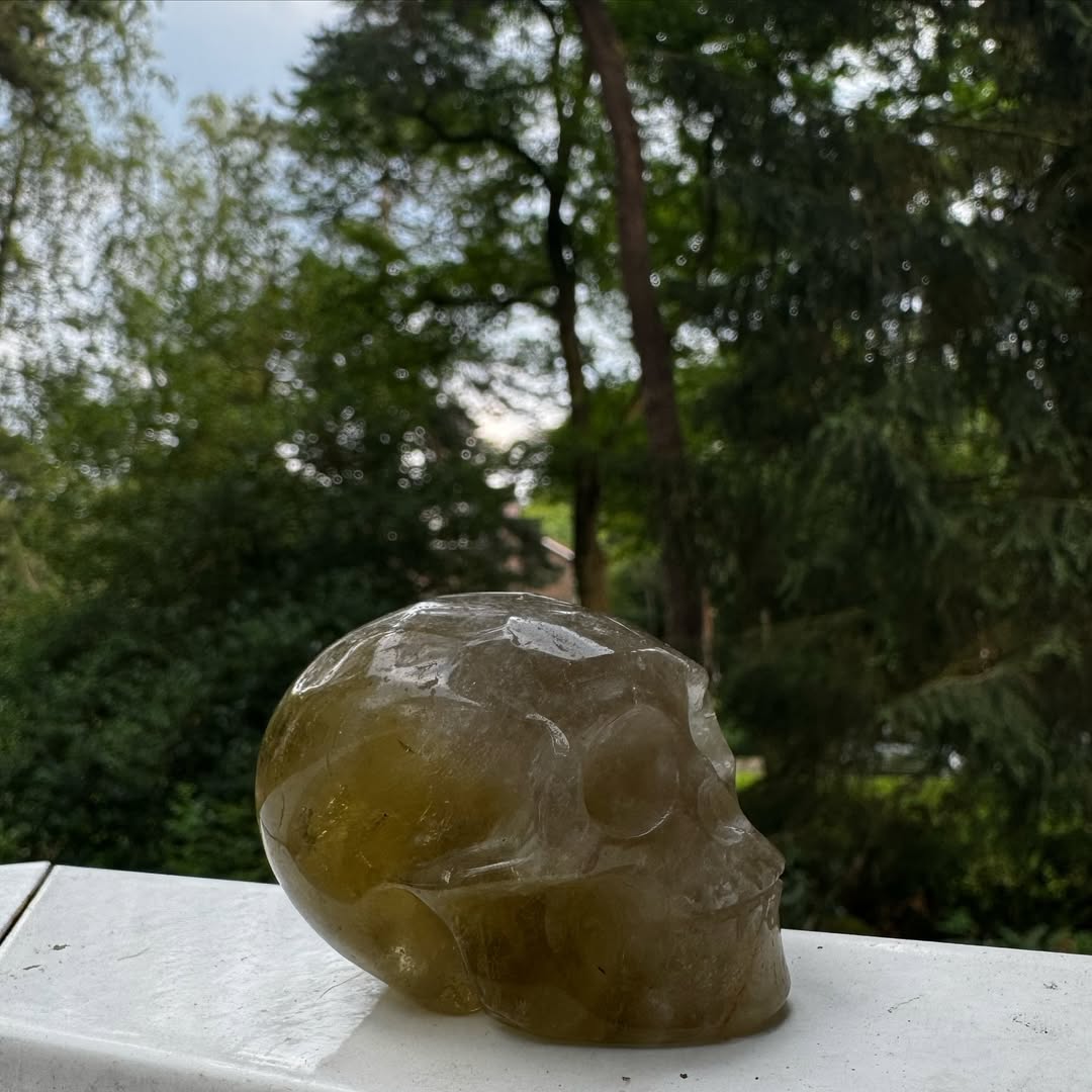 Smoky Skull - Afbeelding 4